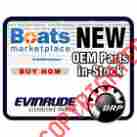 0585197 Evinrude