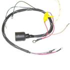 413-1818 C.d.i Omc Harness 001865229858