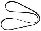 57-865635q05 57-865635q02 Quicksilver Mercruiser Oem Part Serpentine Belt