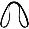 725026 Indmar Serpentine Alternator Belt