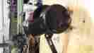 90507a12 Mercruiser 3.0 Power Steering Pump