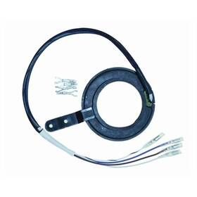 Boating Accessories 134-7029-4 New 4-cyl Trigger C D I Electronics