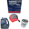 Buhxw-1 Johnson Evinrude Omc New Oem Ngk Spark Plug