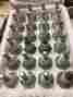 J19lm Champion Spark Plugs 861 Free Shipping We Ship Worldwide You Get 4