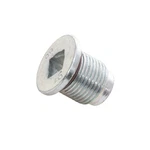 Allison 29534362 Heavy Duty Magnetic Oil Drain Plug Assembly For T.... Fixed Price $36.91.