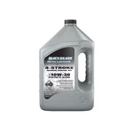 Quicksilver 10W-30 4-STROKE Synthetic Blend Marine Engine Oil, Gallon. Fixed Price $55.89.