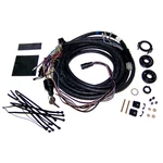 Harness W/ Key Switch 25FT Mercury Outboards & Sportjet Single. Fixed Price $260.05.