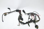 1996-2004 Omc Johnson Evinrude Engine Wire Harness 586028, 0586028. Fixed Price $20.00.