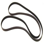 Wsm Sierra Belt, Serpentine Mercruiser 18-15117, 57-861759, 57-861759Q,. Fixed Price $139.97.