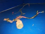 Cable 0389269 Harness Wiring Connector Plug Johnson Evinrude 35HP 30HP?. Fixed Price $88.00.