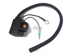 Boat 33410-89J01 89J00 Ignition Coil Assy Suzuki Marine Outboard Df 25HP 30HP 4T. Fixed Price $44.41.