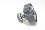 Evinrude Etec Pressure Relief Valve Assy 0347241 Plate 0347240 Plunger 0347238. Fixed Price $20.00.