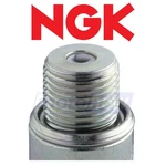 Ngk 2422 Surface Gap Spark For Electrical Plugs Op. Fixed Price $13.62.