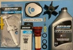 Mercury Outboard Optimax 90-125HP L3 & L4 Sevice Kit Oem. Fixed Price $134.95.