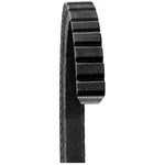 Dayco 15388 Accessory Drive Belt. Fixed Price $19.49.