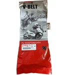 Yamaha Genuine 2006-2008 CP250 Morphous V-belt 1B7-17641-10-00 Oem. Fixed Price $120.00.