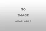 Dorman Harmonic Balancer 594361 - Enhance Engine Performance. Fixed Price $131.99.