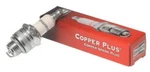 Genuine Oem Champion Part # RJ19LM; Spark Plug. Fixed Price $9.95.